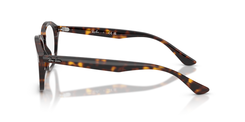 Ray-Ban RX5451F in Havana / Clear (2012) - Alternate View