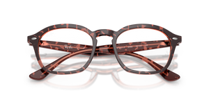Havana & Red / Clear (8488)