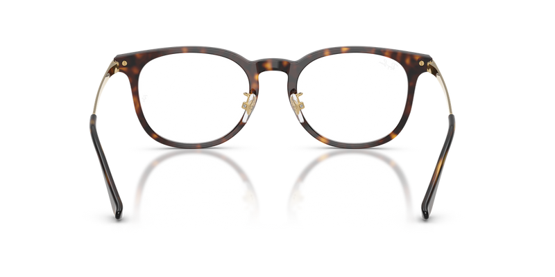 Ray-Ban RX5453D in Havana / Clear (2012) - Alternate View