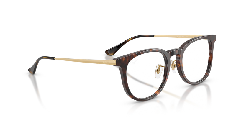 Ray-Ban RX5453D in Havana / Clear (2012) - Alternate View