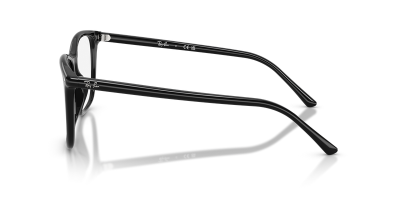 Ray-Ban RX5455 in Black - Back View