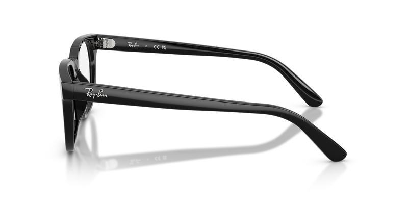 Ray-Ban RX5461D in Black - Back View