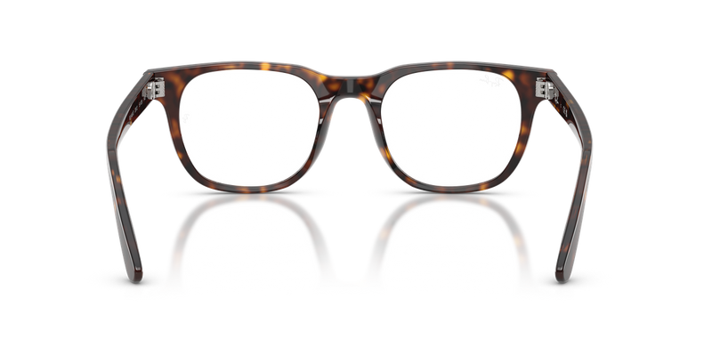Ray-Ban RX5461D in Havana - Alternate View