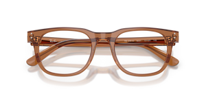 Transparent Brown / Demo Bio (8201)