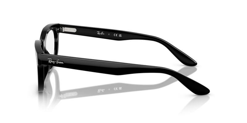 Ray-Ban BALORETTE in Black - Back View