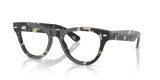 Grey Tortoise / Clear (8117)