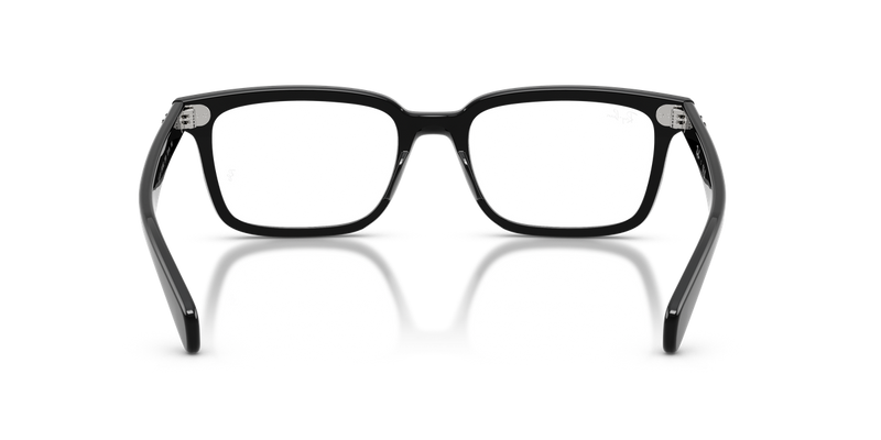 Ray-Ban BRUNEL in Black - Temple Detail