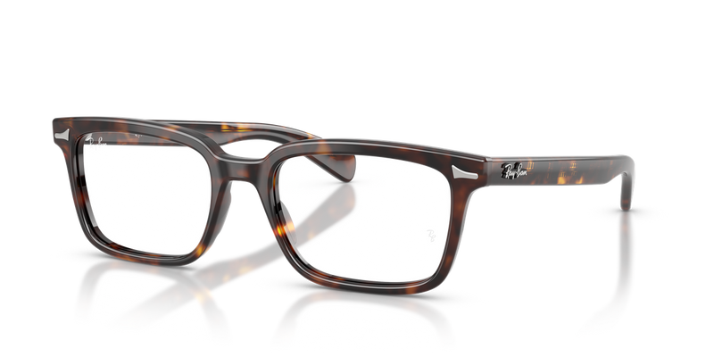 Ray-Ban BRUNEL in Havana - Alternate View