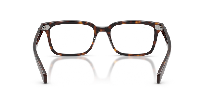 Ray-Ban BRUNEL in Havana - Alternate View