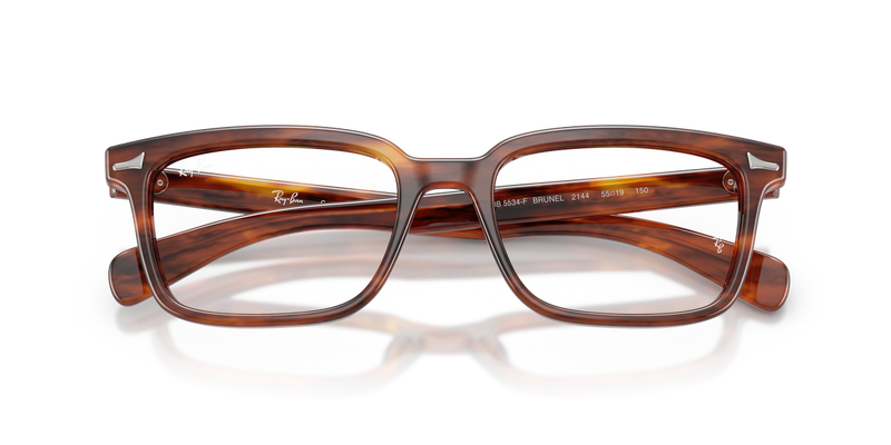 Ray-Ban BRUNEL in Striped Havana - Alternate View