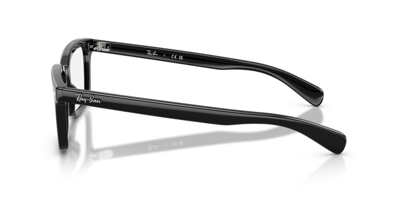 Ray-Ban BRUNEL in Black - Back View