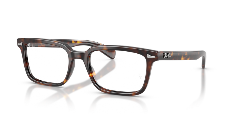Ray-Ban BRUNEL in Havana - Alternate View