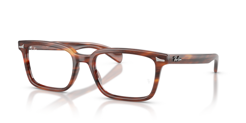 Ray-Ban BRUNEL in Striped Havana - Alternate View