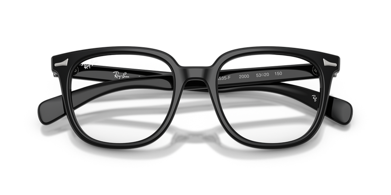 Ray-Ban BRUNEL II in Black - Side View