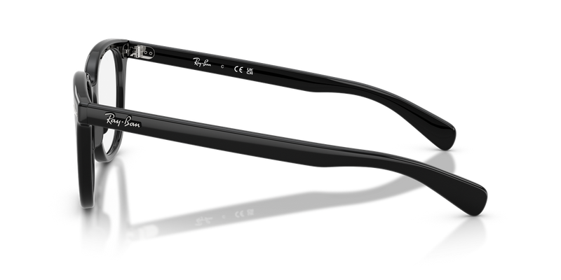 Ray-Ban BRUNEL II in Black - Back View