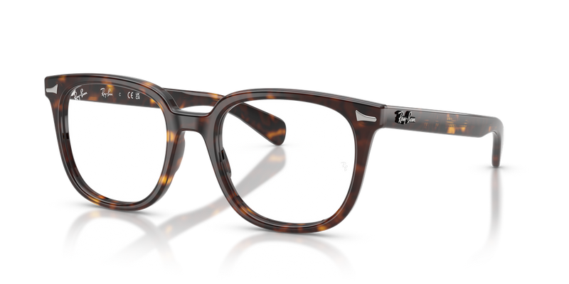 Ray-Ban BRUNEL II in Havana - Alternate View