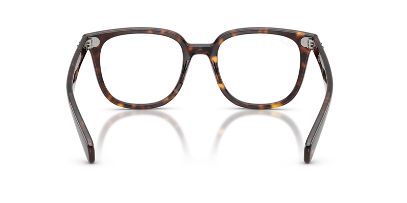 Ray-Ban BRUNEL II in Havana - Alternate View