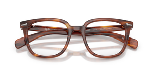 Striped Havana / Bio Demo Lens (2144)