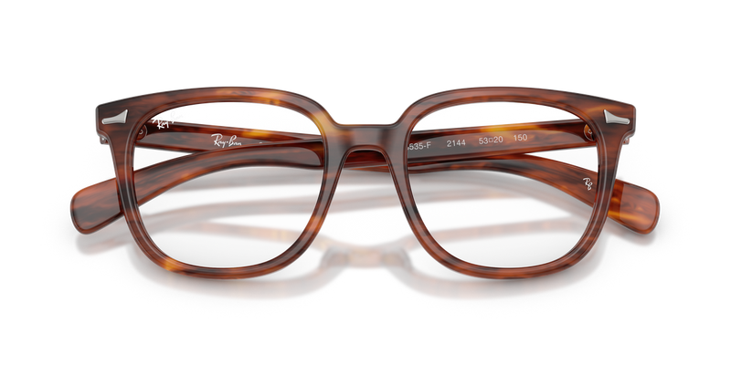 Ray-Ban BRUNEL II in Striped Havana - Alternate View