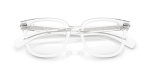 Transparent / Bio Demo Lens (2001)
