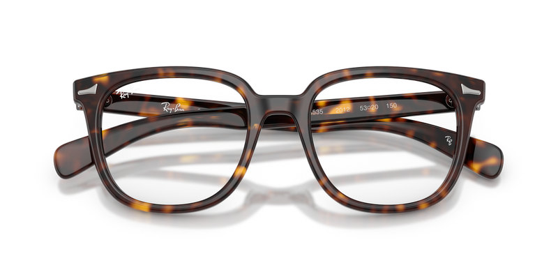 Ray-Ban BRUNEL II in Havana - Alternate View
