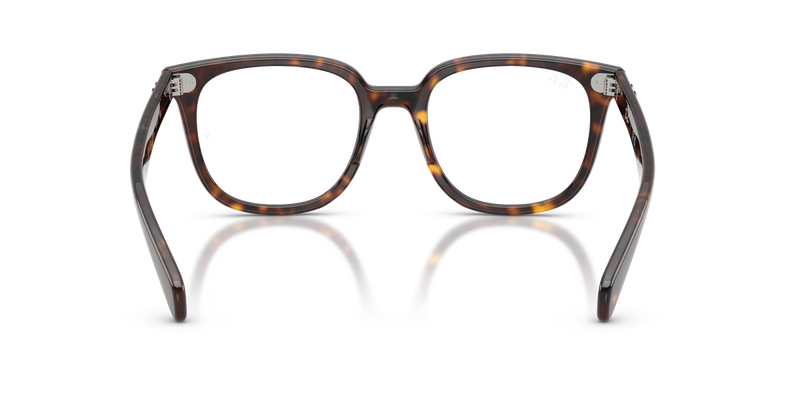 Ray-Ban BRUNEL II in Havana - Alternate View