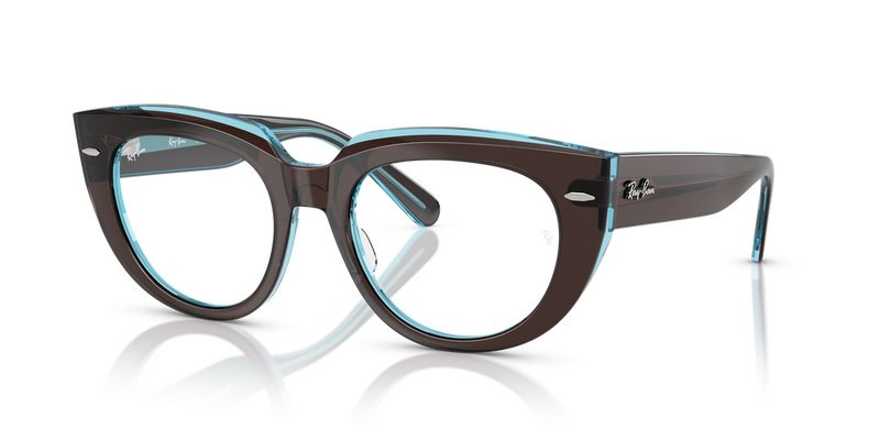 Ray-Ban DOREEN in Brown On Transparent Blue / Clear (8366) - Alternate View