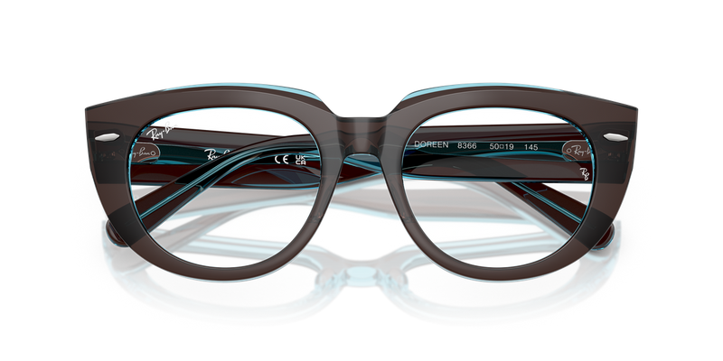 Ray-Ban DOREEN in Brown On Transparent Blue / Clear (8366) - Alternate View