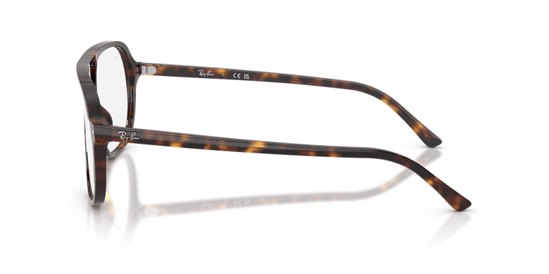 Ray-Ban RX5698 in Havana / Clear (2012) - Temple Detail