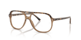 Havana & Brown / Clear (8109)