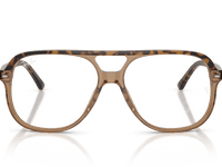 Havana & Brown / Clear (8109)