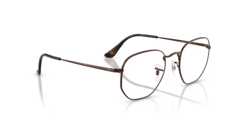 Ray-Ban RX6448 in Brown - Alternate View