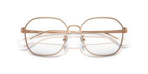 Rose Gold / Clear (3094)