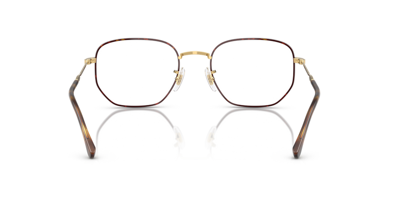Ray-Ban RX6496 in Havana On Arista - Alternate View