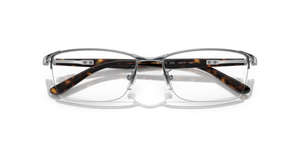 Silver / Clear (2595)