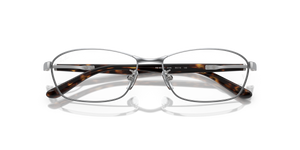 Silver / Clear (2595)