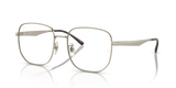 Gold / Clear (2993)
