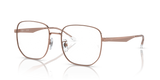 Rose Gold / Clear (3094)