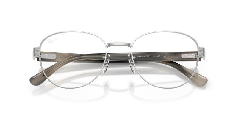 Ray-Ban RX6543 in Silver / Clear (2501) - Alternate View