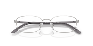 Silver / Clear (2501)