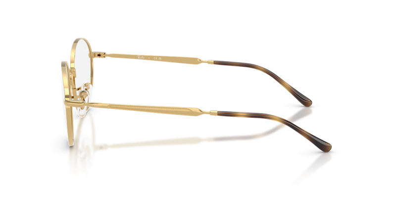 Ray-Ban RX6558 in Gold - Back View