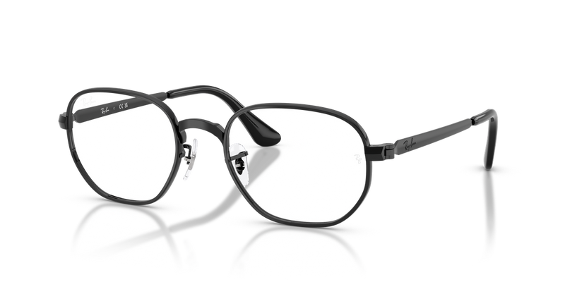 Ray-Ban HEXAGONAL MAX in Black - Alternate View