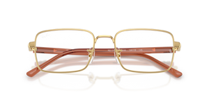 Arista Gold / Bio Demo Lens (2500)