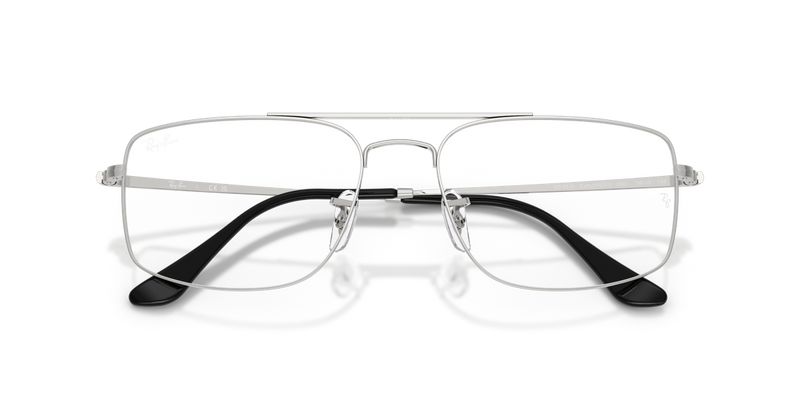 Ray-Ban RX6579 in Silver / Clear (2501) - Alternate View