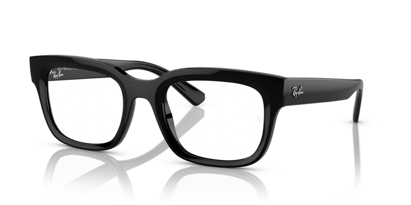 Ray-Ban CHAD in Black / Clear (8260) - Alternate View