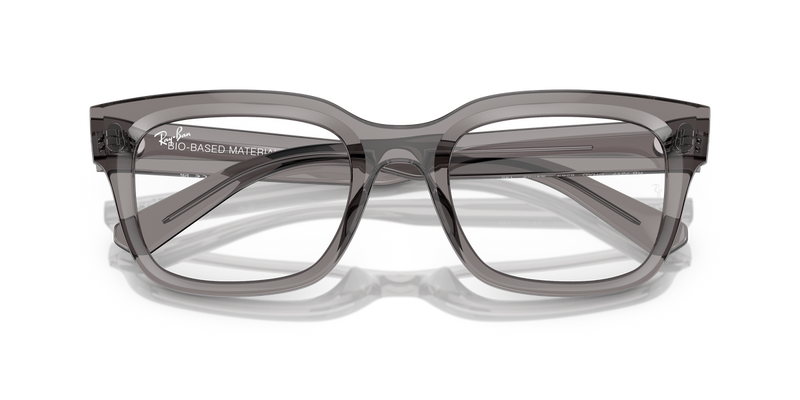 Ray-Ban CHAD in Transparent Grey / Clear (8263) - Alternate View