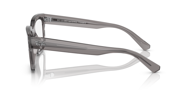 Ray-Ban CHAD in Transparent Grey / Clear (8263) - Alternate View