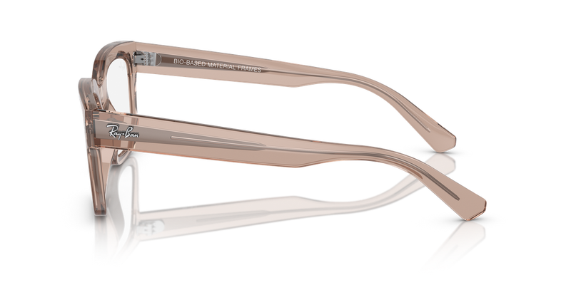 Ray-Ban CHAD in Transparent Light Brown / Clear (8317) - Alternate View