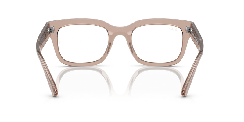 Ray-Ban CHAD in Transparent Light Brown / Clear (8317) - Alternate View
