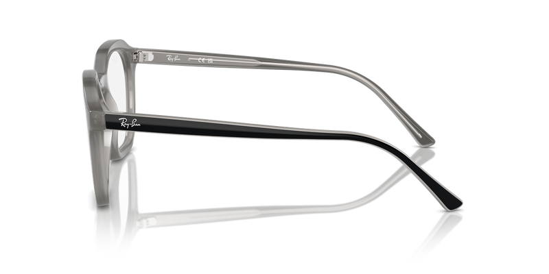 Ray-Ban ALICE in Opal Grey / Clear (8354) - Back View